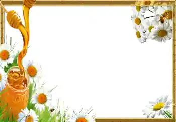 श्रेणी से फ़ोटो प्रभाव विभिन्न № 14966