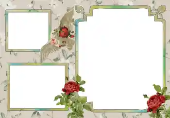 श्रेणी से फ़ोटो प्रभाव विभिन्न № 15030