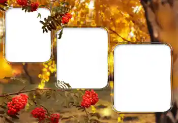 श्रेणी से फ़ोटो प्रभाव विभिन्न № 150527 श्रेणी से फ़ोटो प्रभाव विभिन्न № 150527