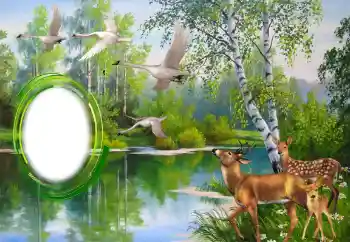 श्रेणी से फ़ोटो प्रभाव विभिन्न № 151671 श्रेणी से फ़ोटो प्रभाव विभिन्न № 151671