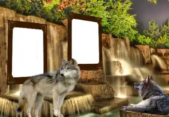 श्रेणी से फ़ोटो प्रभाव विभिन्न № 153016