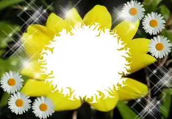 श्रेणी से फ़ोटो प्रभाव विभिन्न № 1530