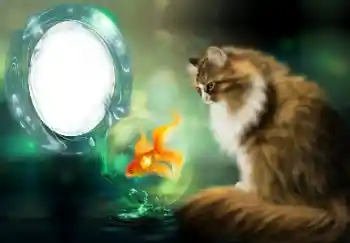 श्रेणी से फ़ोटो प्रभाव विभिन्न № 154509 श्रेणी से फ़ोटो प्रभाव विभिन्न № 154509