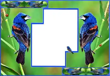 श्रेणी से फ़ोटो प्रभाव विभिन्न № 154512 श्रेणी से फ़ोटो प्रभाव विभिन्न № 154512