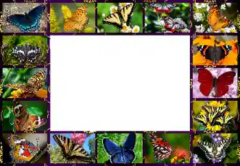 श्रेणी से फ़ोटो प्रभाव विभिन्न № 154545