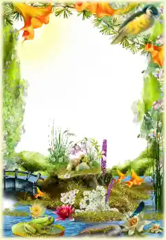 श्रेणी से फ़ोटो प्रभाव विभिन्न № 154548