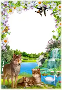 श्रेणी से फ़ोटो प्रभाव विभिन्न № 154550