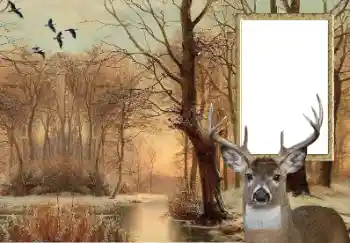 श्रेणी से फ़ोटो प्रभाव विभिन्न № 154607 श्रेणी से फ़ोटो प्रभाव विभिन्न № 154607