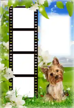 श्रेणी से फ़ोटो प्रभाव विभिन्न № 154718 श्रेणी से फ़ोटो प्रभाव विभिन्न № 154718