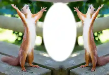 श्रेणी से फ़ोटो प्रभाव विभिन्न № 154733 श्रेणी से फ़ोटो प्रभाव विभिन्न № 154733