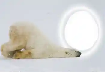 श्रेणी से फ़ोटो प्रभाव विभिन्न № 154735 श्रेणी से फ़ोटो प्रभाव विभिन्न № 154735