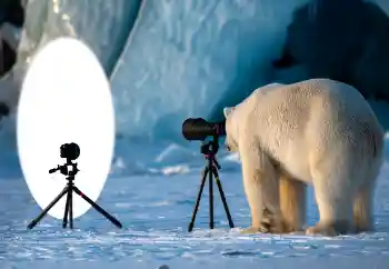 श्रेणी से फ़ोटो प्रभाव विभिन्न № 154736 श्रेणी से फ़ोटो प्रभाव विभिन्न № 154736