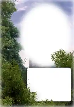 श्रेणी से फ़ोटो प्रभाव विभिन्न № 154780