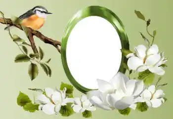 श्रेणी से फ़ोटो प्रभाव विभिन्न № 155868 श्रेणी से फ़ोटो प्रभाव विभिन्न № 155868