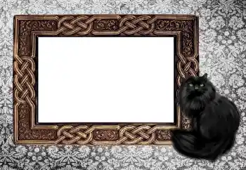 श्रेणी से फ़ोटो प्रभाव विभिन्न № 155997 श्रेणी से फ़ोटो प्रभाव विभिन्न № 155997