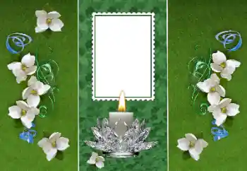 श्रेणी से फ़ोटो प्रभाव विभिन्न № 157116 श्रेणी से फ़ोटो प्रभाव विभिन्न № 157116