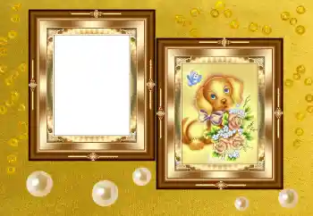 श्रेणी से फ़ोटो प्रभाव विभिन्न № 158391 श्रेणी से फ़ोटो प्रभाव विभिन्न № 158391