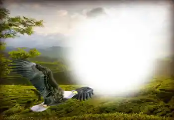 श्रेणी से फ़ोटो प्रभाव विभिन्न № 158416 श्रेणी से फ़ोटो प्रभाव विभिन्न № 158416