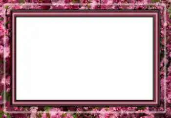 श्रेणी से फ़ोटो प्रभाव विभिन्न № 158431