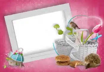 श्रेणी से फ़ोटो प्रभाव विभिन्न № 15919