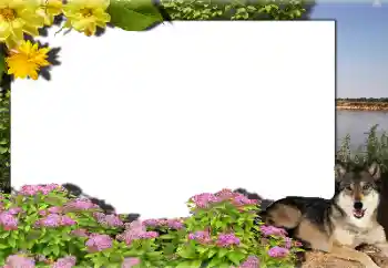 श्रेणी से फ़ोटो प्रभाव विभिन्न № 159462