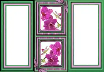 श्रेणी से फ़ोटो प्रभाव विभिन्न № 160589