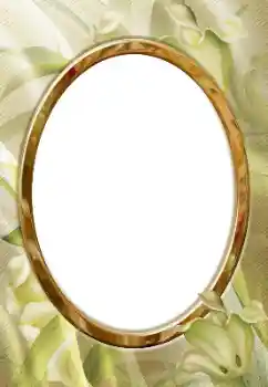 श्रेणी से फ़ोटो प्रभाव विभिन्न № 160695