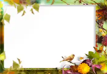 श्रेणी से फ़ोटो प्रभाव विभिन्न № 160773