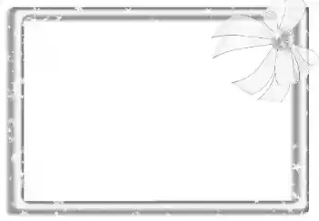 श्रेणी से फ़ोटो प्रभाव विभिन्न № 160788