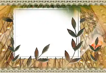 श्रेणी से फ़ोटो प्रभाव विभिन्न № 160810