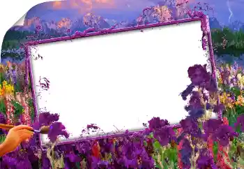 श्रेणी से फ़ोटो प्रभाव विभिन्न № 160843