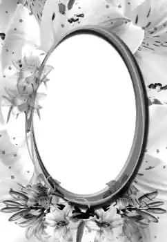 श्रेणी से फ़ोटो प्रभाव विभिन्न № 160896