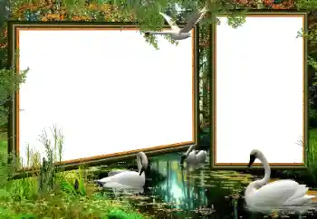 श्रेणी से फ़ोटो प्रभाव विभिन्न № 160922