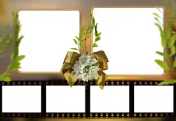 श्रेणी से फ़ोटो प्रभाव विभिन्न № 161948