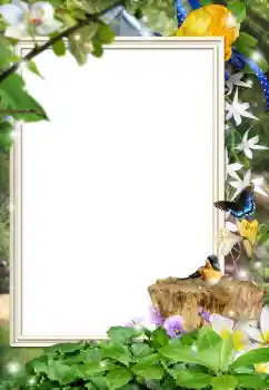 श्रेणी से फ़ोटो प्रभाव विभिन्न № 162044