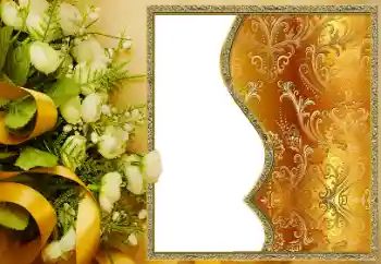 श्रेणी से फ़ोटो प्रभाव विभिन्न № 162100