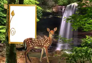 श्रेणी से फ़ोटो प्रभाव विभिन्न № 163220