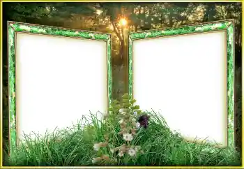 श्रेणी से फ़ोटो प्रभाव विभिन्न № 163263