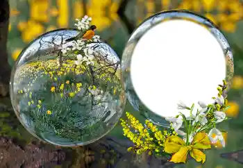 श्रेणी से फ़ोटो प्रभाव विभिन्न № 163601