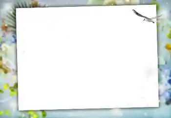 श्रेणी से फ़ोटो प्रभाव विभिन्न № 164634