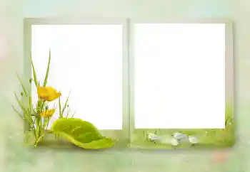 श्रेणी से फ़ोटो प्रभाव विभिन्न № 164751