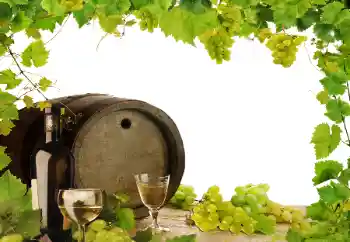 श्रेणी से फ़ोटो प्रभाव विभिन्न № 164780