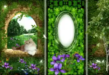 श्रेणी से फ़ोटो प्रभाव विभिन्न № 166033 श्रेणी से फ़ोटो प्रभाव विभिन्न № 166033