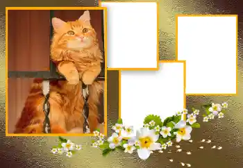 श्रेणी से फ़ोटो प्रभाव विभिन्न № 166093