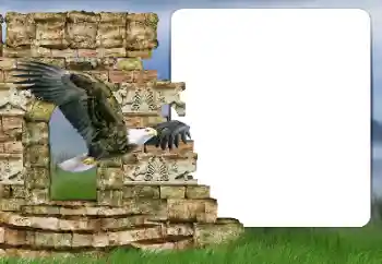 श्रेणी से फ़ोटो प्रभाव विभिन्न № 166357