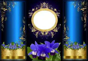 श्रेणी से फ़ोटो प्रभाव विभिन्न № 166447 श्रेणी से फ़ोटो प्रभाव विभिन्न № 166447