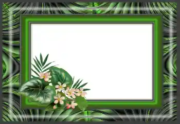 श्रेणी से फ़ोटो प्रभाव विभिन्न № 166640 श्रेणी से फ़ोटो प्रभाव विभिन्न № 166640