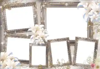 श्रेणी से फ़ोटो प्रभाव विभिन्न № 169031 श्रेणी से फ़ोटो प्रभाव विभिन्न № 169031