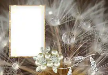 श्रेणी से फ़ोटो प्रभाव विभिन्न № 169101 श्रेणी से फ़ोटो प्रभाव विभिन्न № 169101