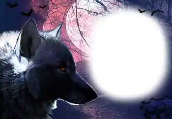 श्रेणी से फ़ोटो प्रभाव विभिन्न № 16918